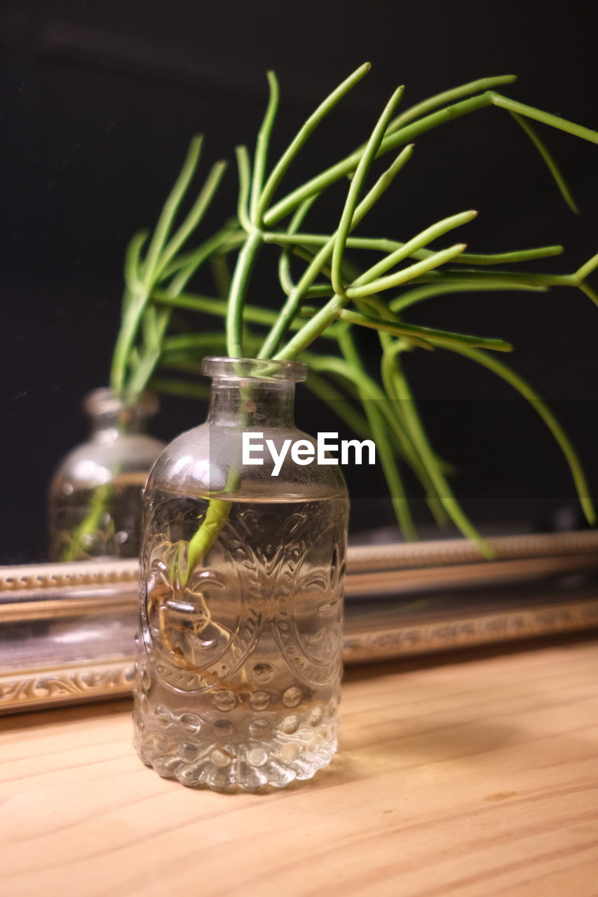 CLOSE-UP OF GLASS OF JAR ON PLANT