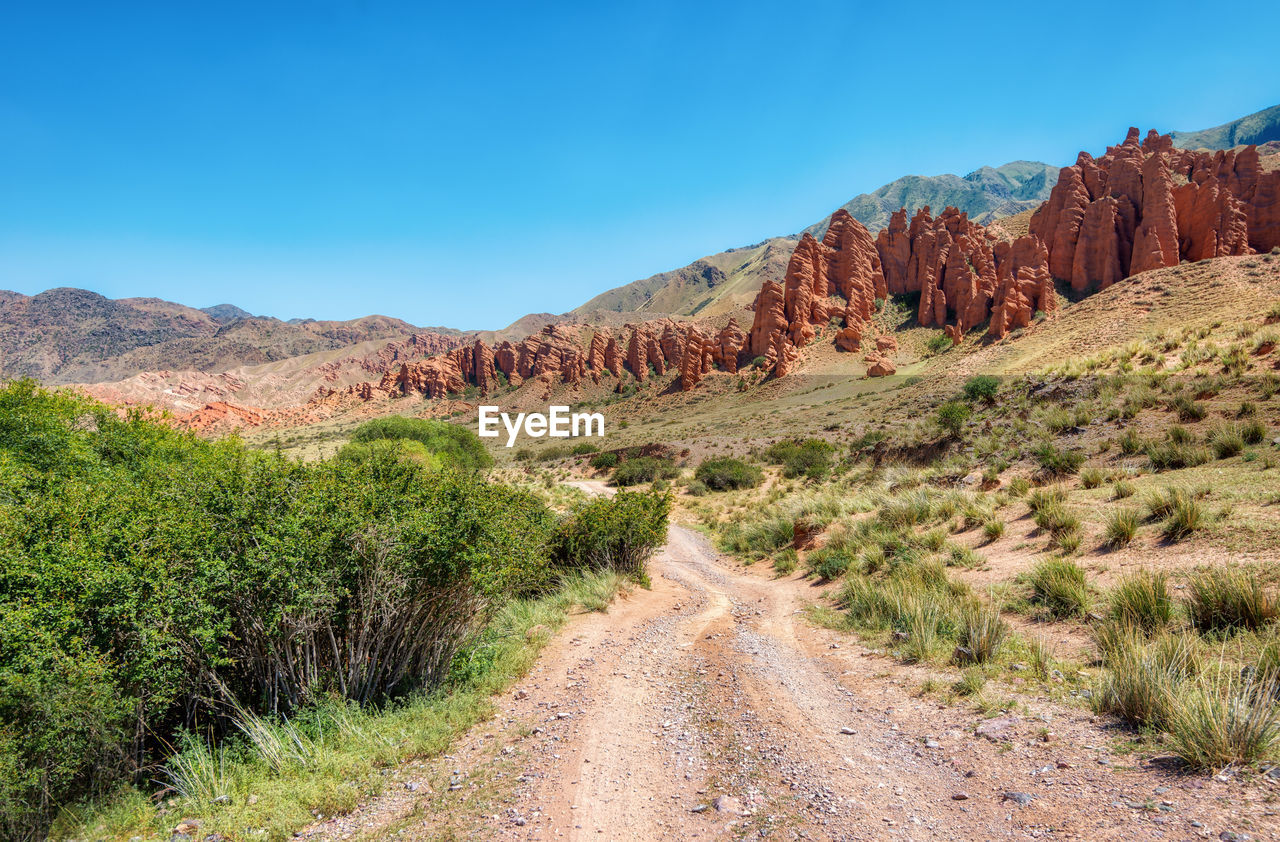 Dirt road amidst plants against sky