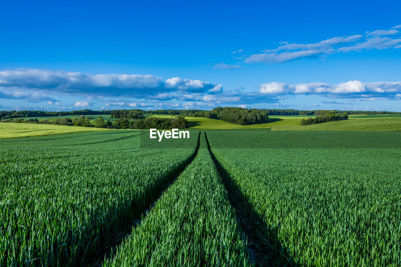 Scenic view of tramlines in agricultural field against sky