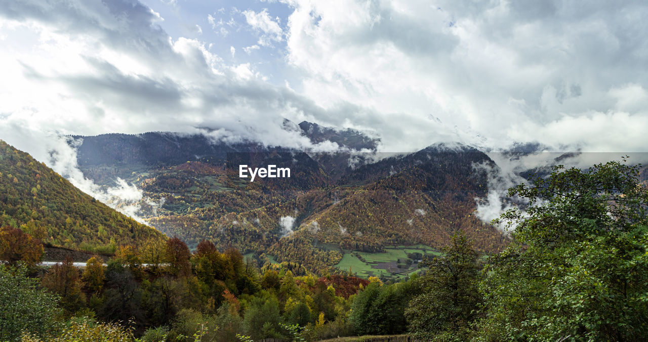 SCENIC VIEW OF TREES AND MOUNTAINS AGAINST SKY