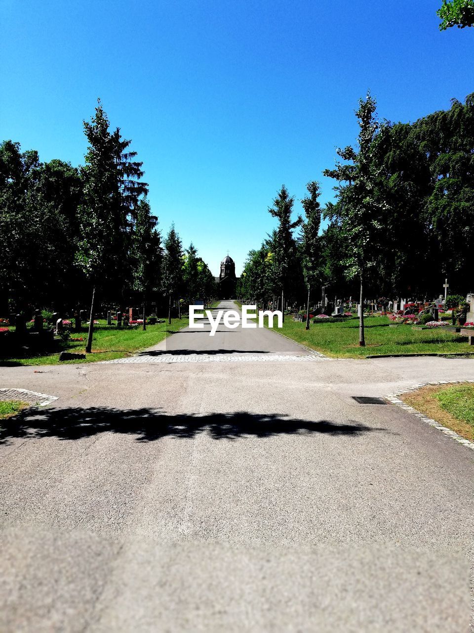 Diminishing perspective of footpath amidst trees against clear blue sky