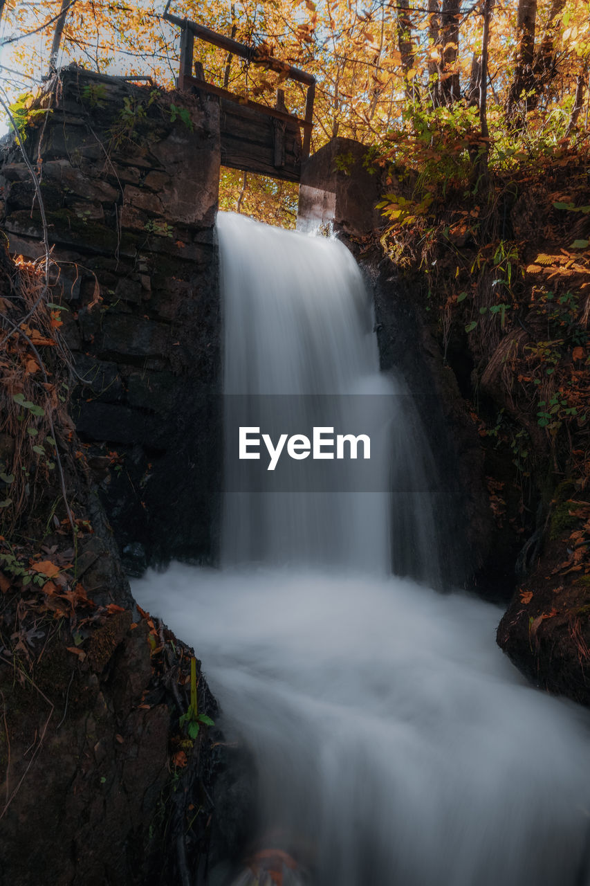 Scenic view of waterfall in forest