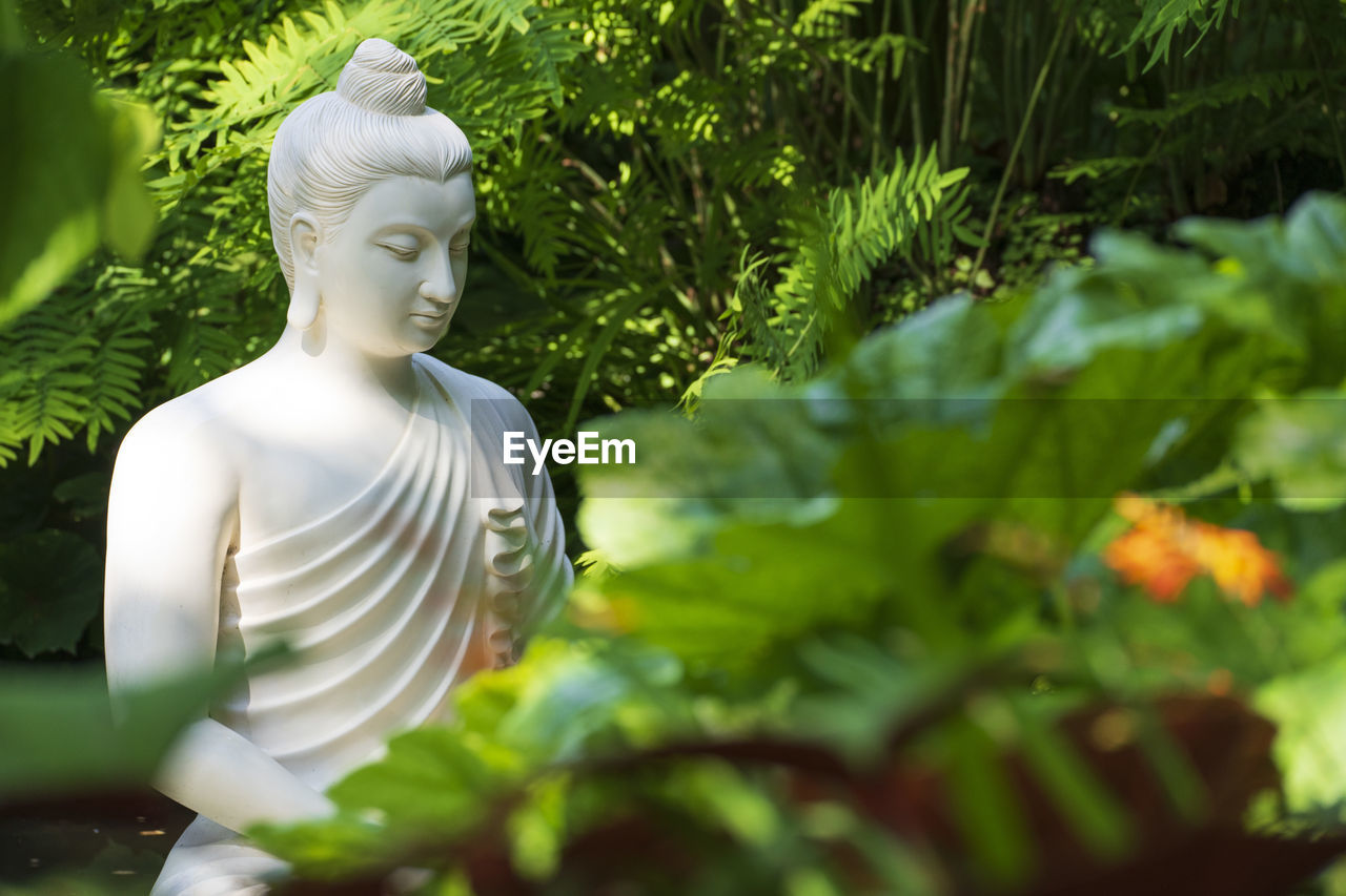 Buddha statue in the famous andré heller botanical garden in gardone riviera at garda lake in italy