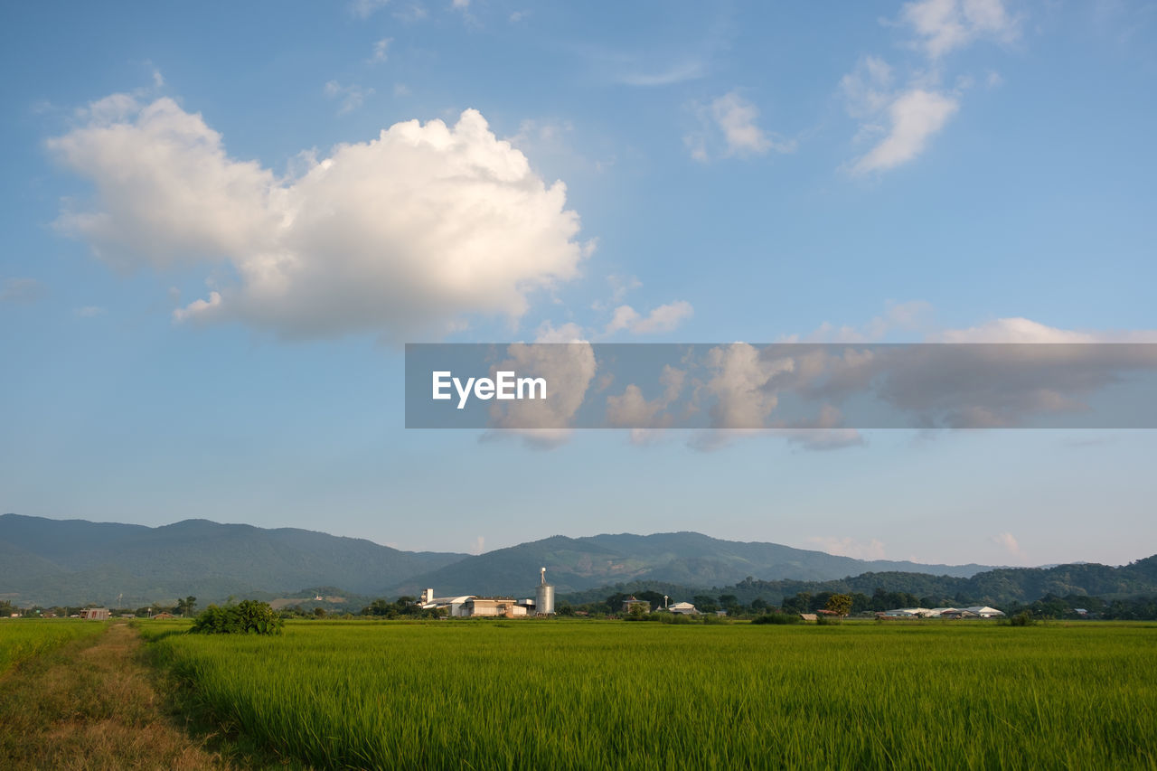 SCENIC VIEW OF FARM AGAINST SKY