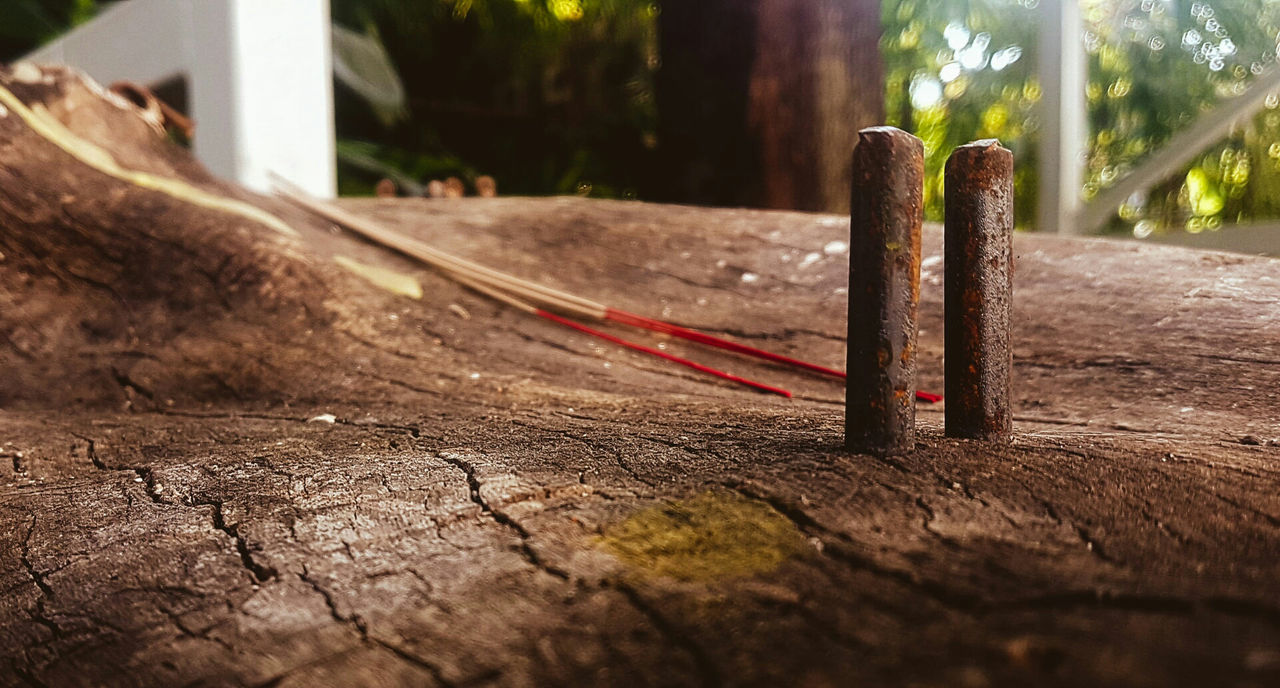 CLOSE-UP OF WOOD OUTDOORS