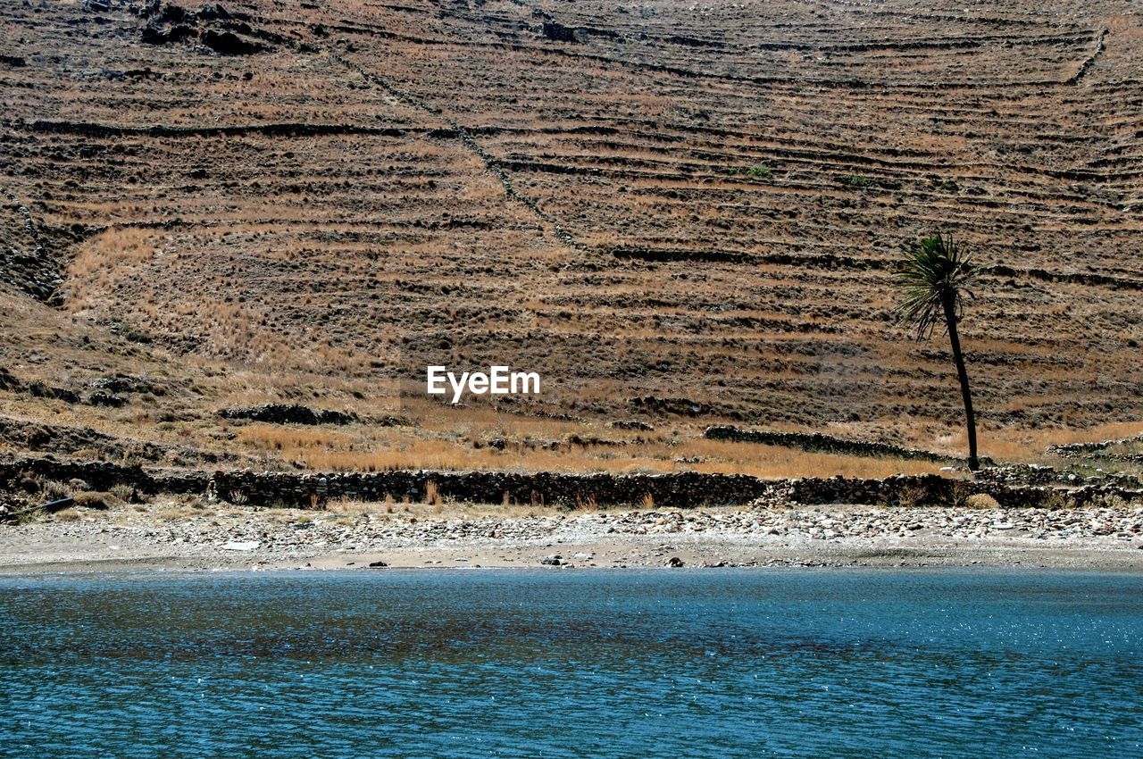 SCENIC VIEW OF SEA SHORE