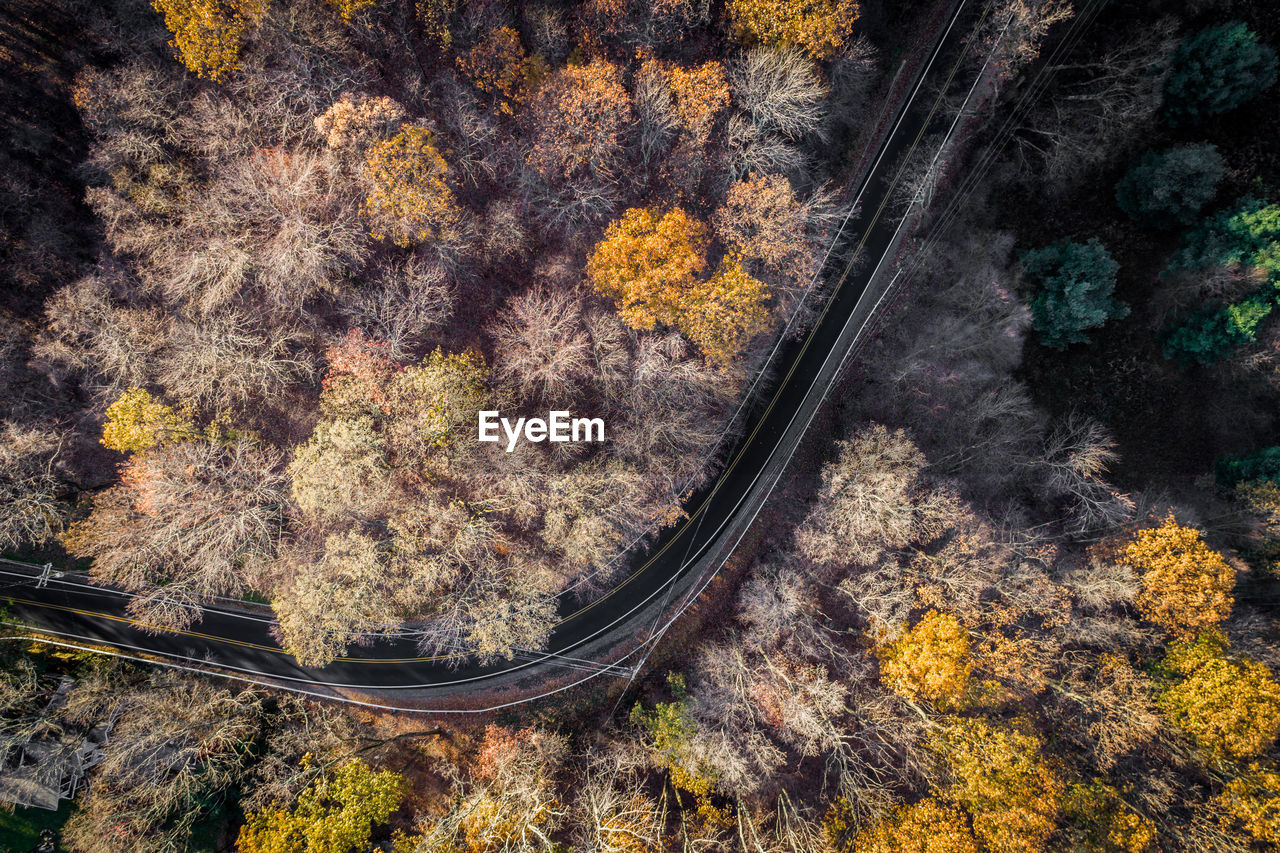 High angle view of road by trees in forest during winter