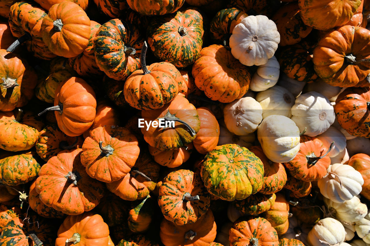 Full frame shot of pumpkins for sale
