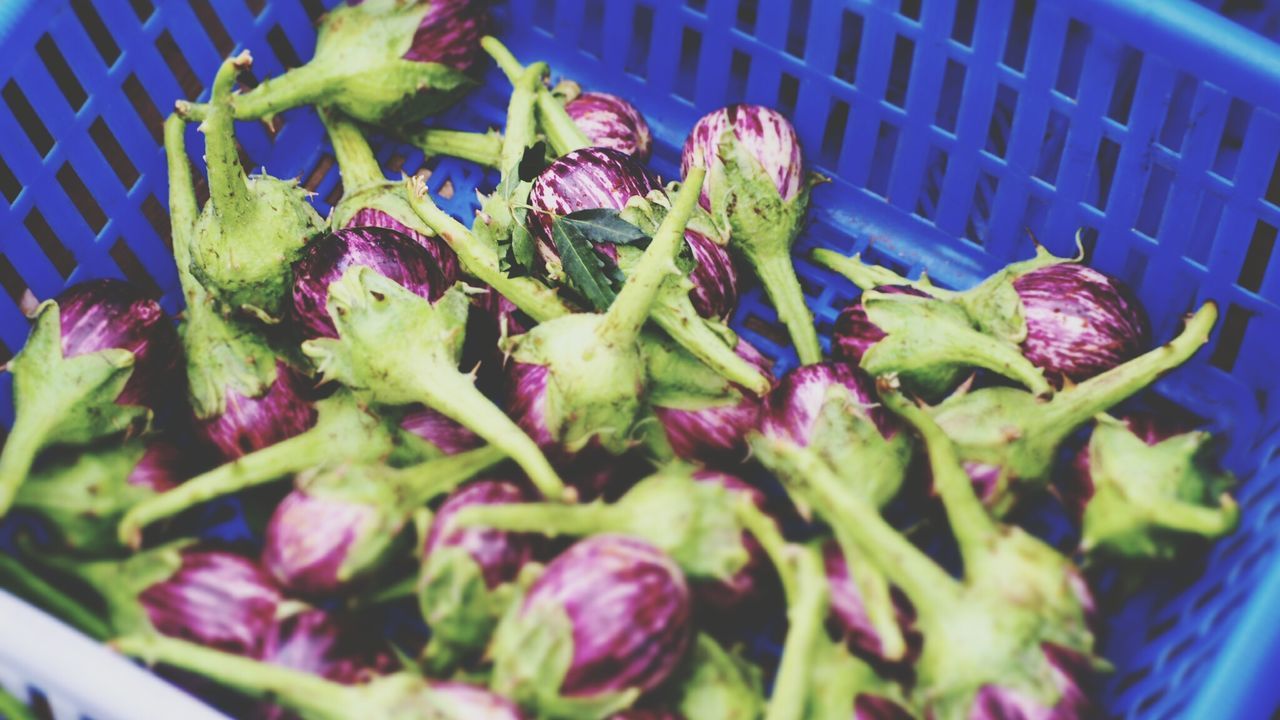 High angle view of eggplants in basket