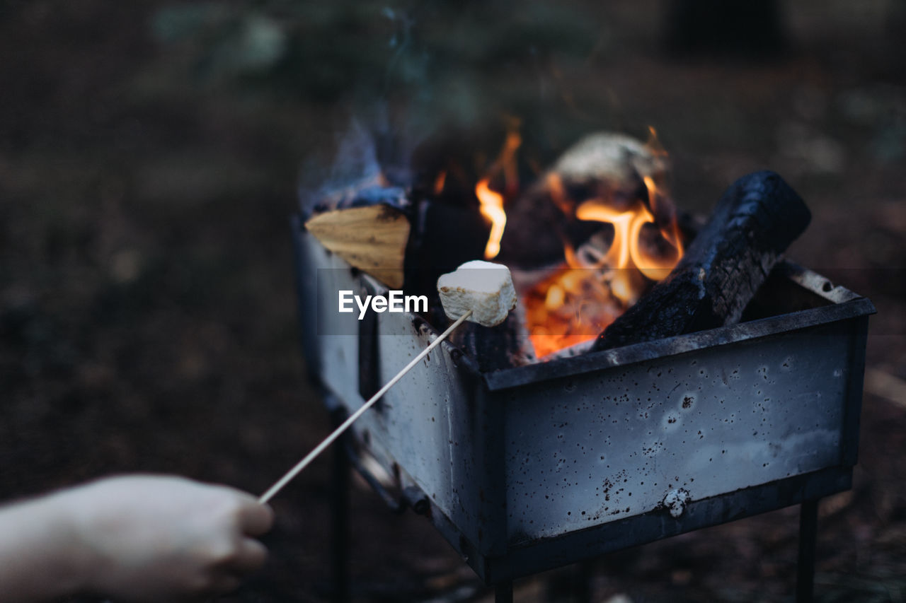 Close-up of bonfire on wooden log