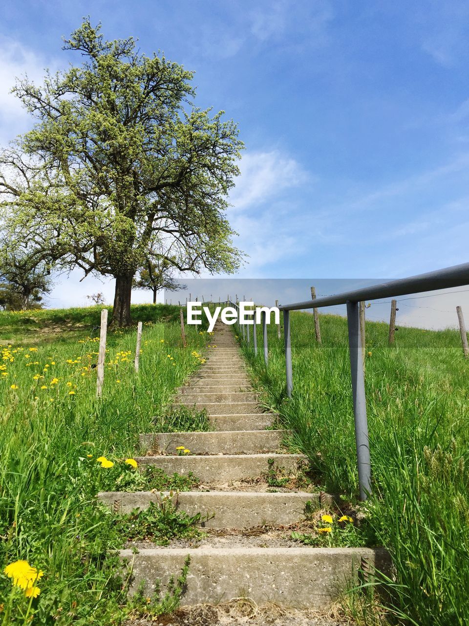 Steps amidst grassy field against sky