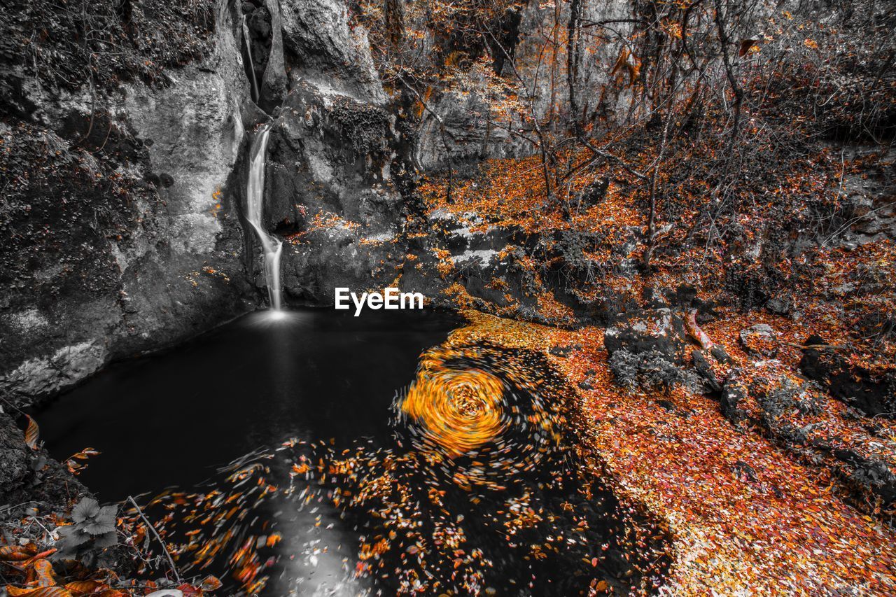 WATER FLOWING THROUGH TREE