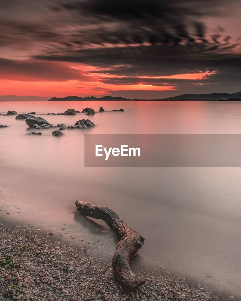 Driftwood on beach against sky during sunset