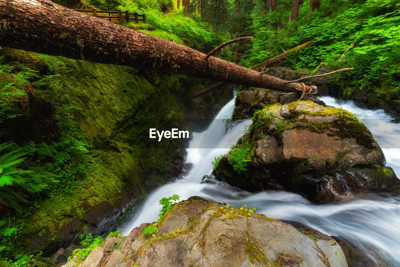 SCENIC VIEW OF WATERFALL