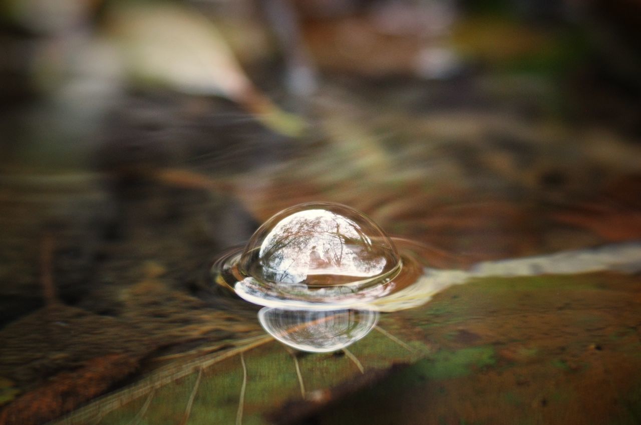 CLOSE-UP OF BUBBLES IN WATER AT PARK