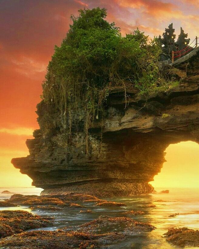 SCENIC VIEW OF TREE BY SEA AGAINST SKY