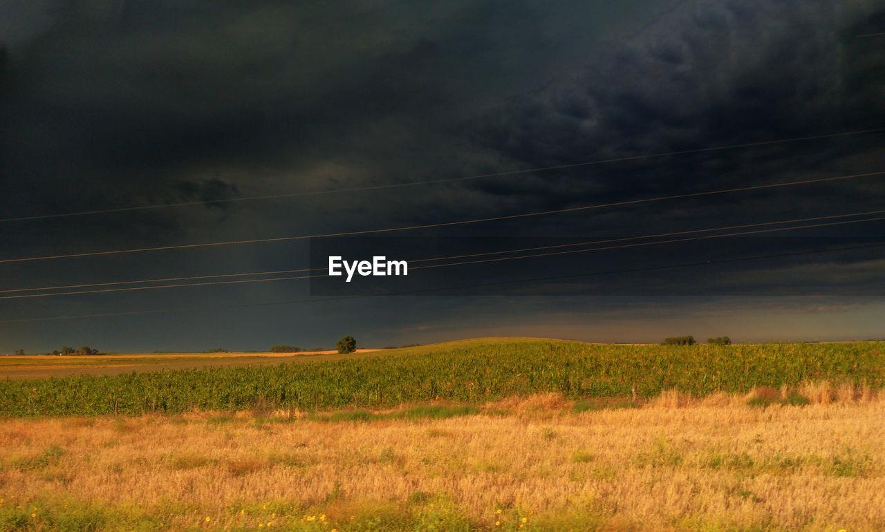 scenic view of agricultural field against cloudy sky