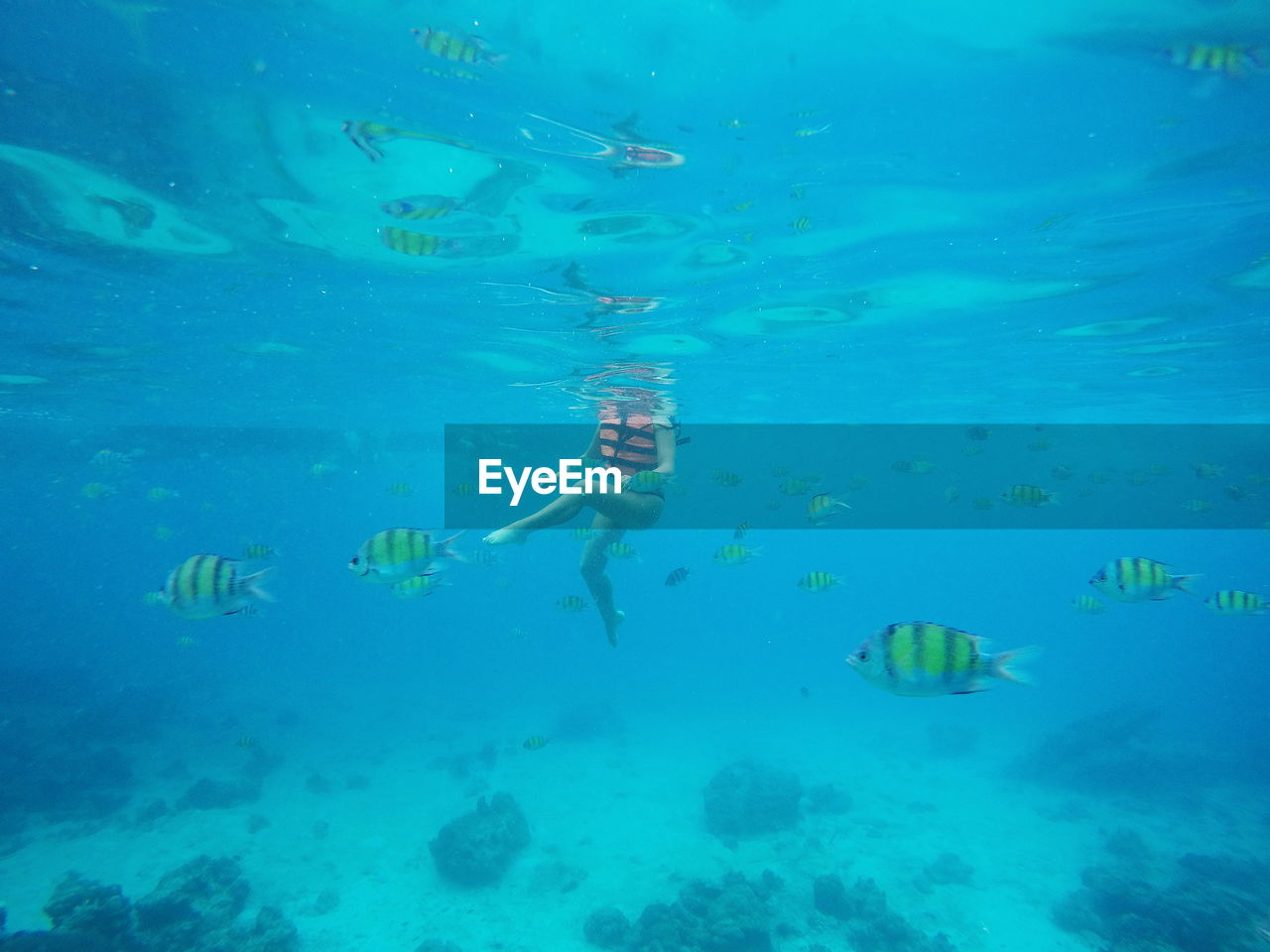 Low section of woman amidst fish swimming in sea