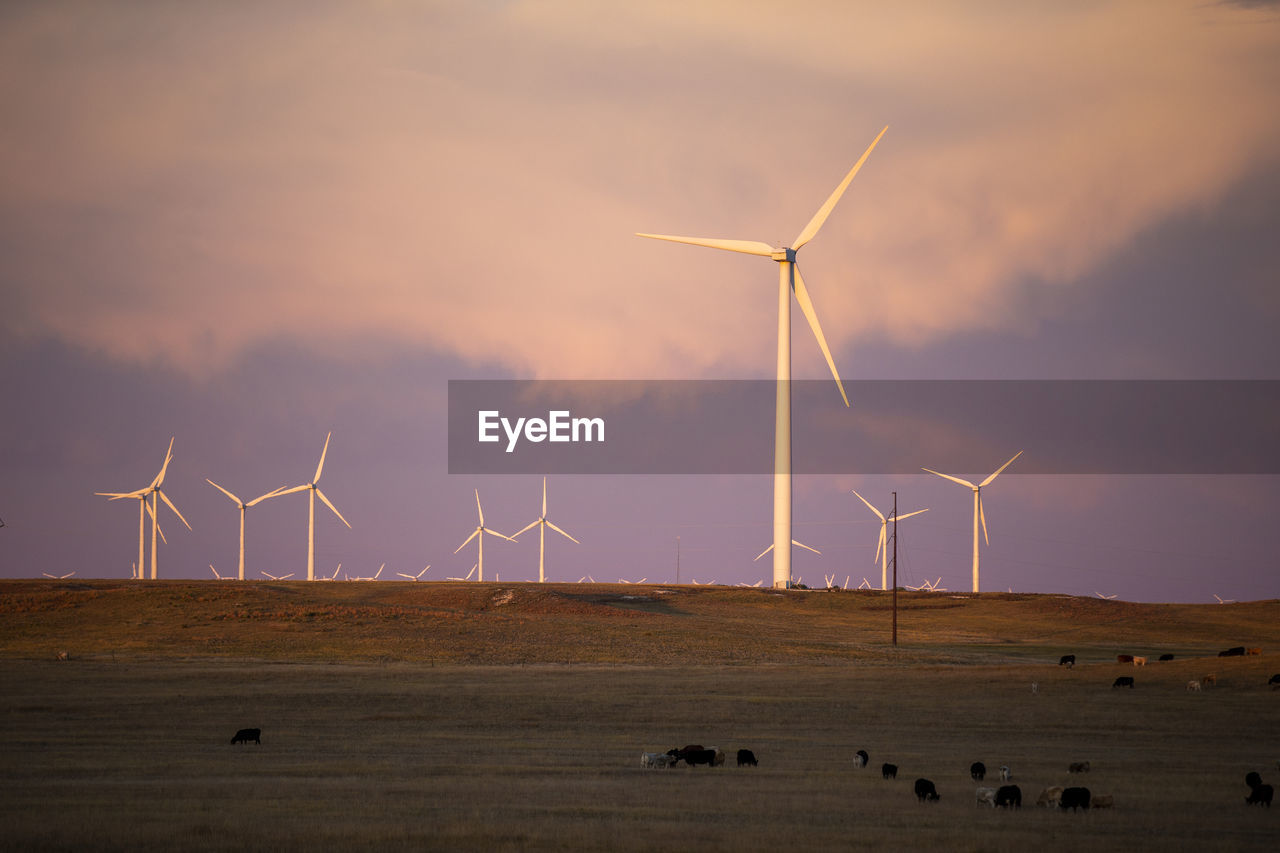 Wind turbines in field against blue cloudy sky at dusk