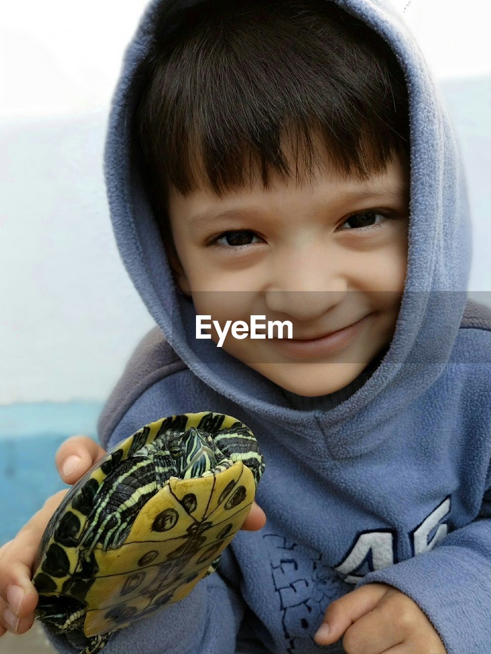 Portrait of cute smiling boy holding tortoise