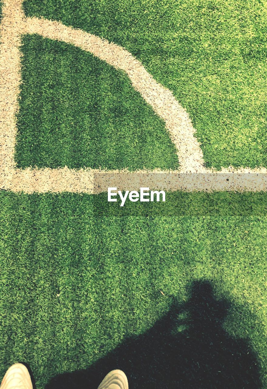 HIGH ANGLE VIEW OF SHADOW OF PERSON ON GRASS