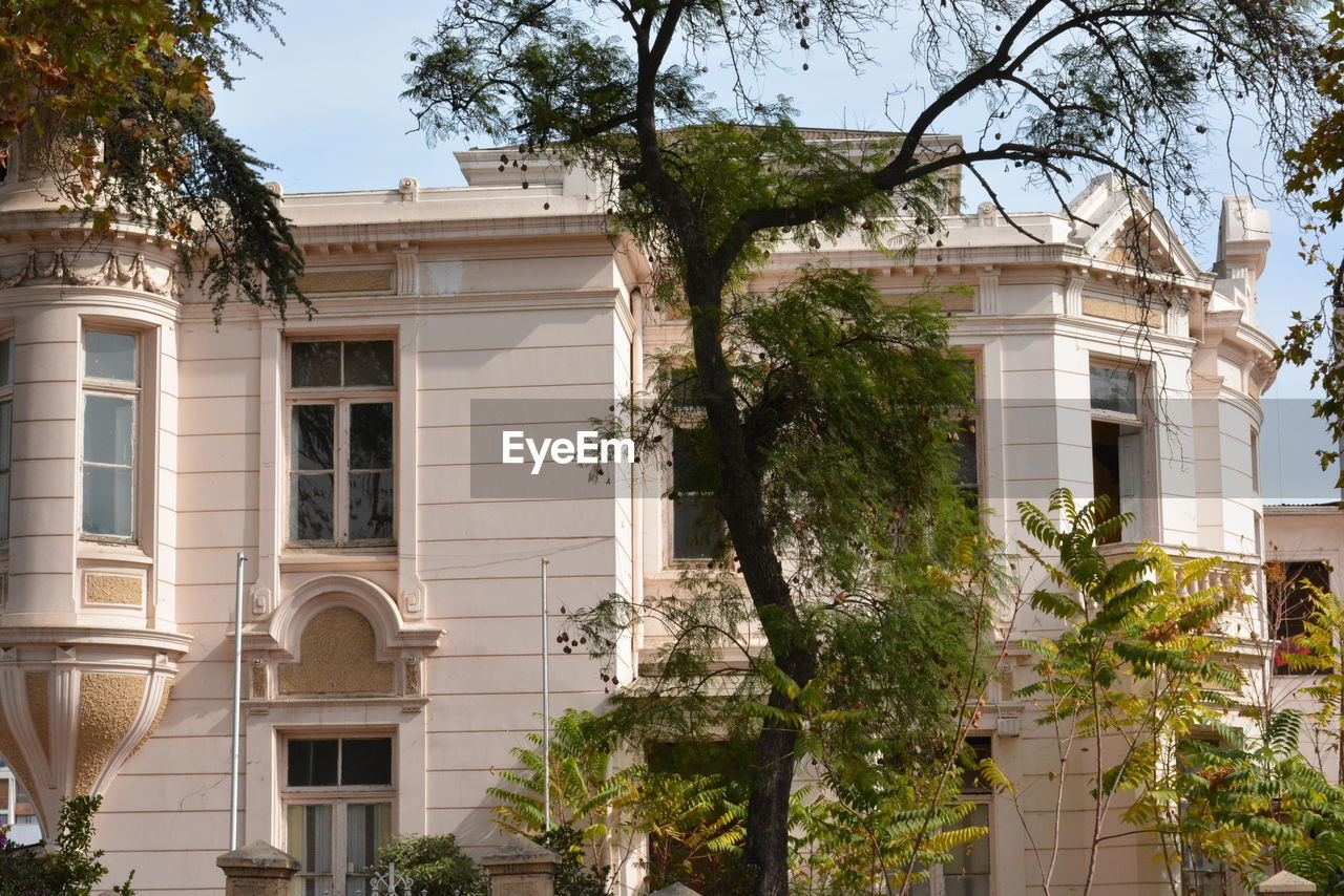 LOW ANGLE VIEW OF TREES AND BUILDINGS AGAINST SKY