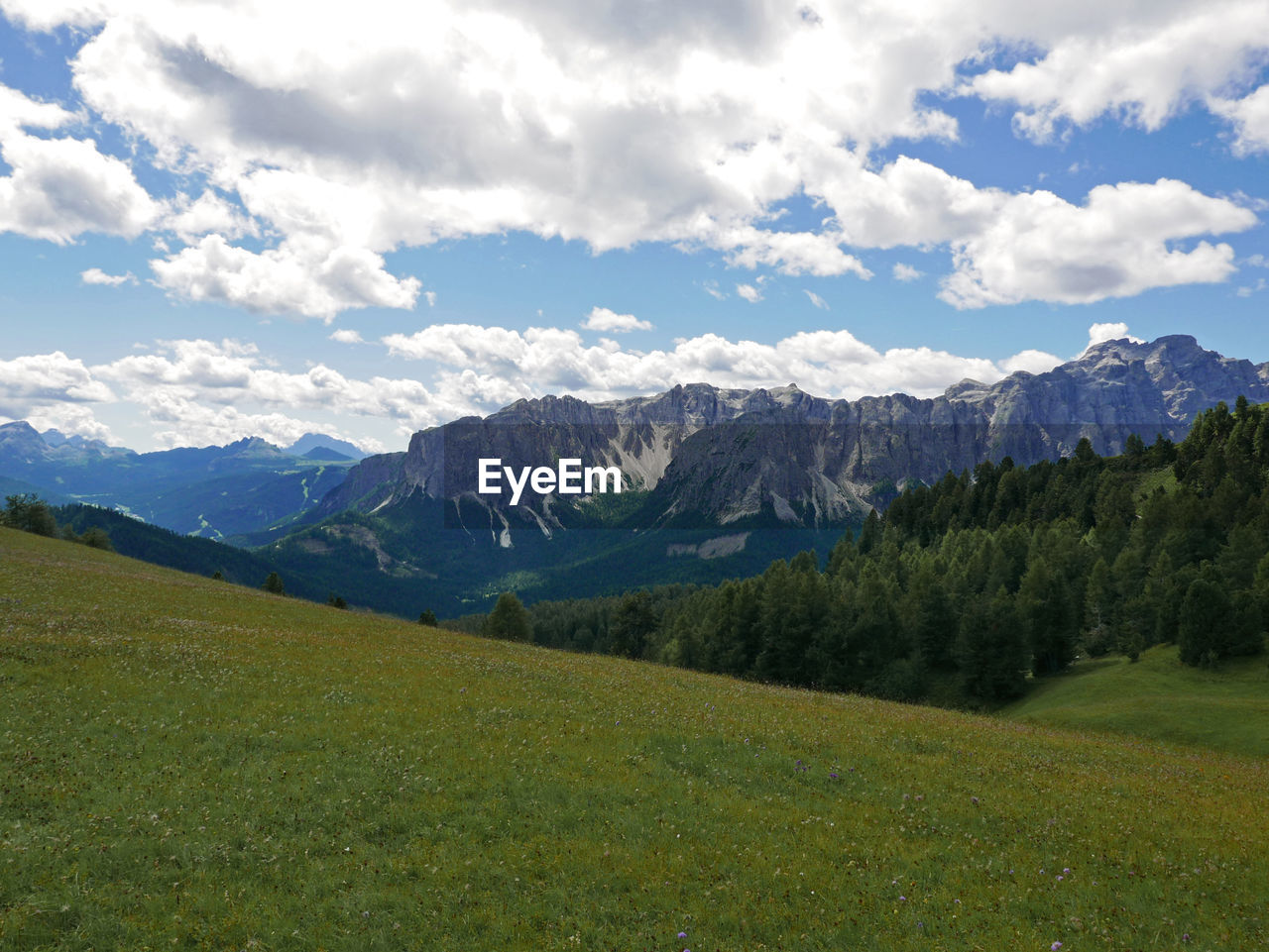 SCENIC VIEW OF TREES AND MOUNTAINS AGAINST SKY