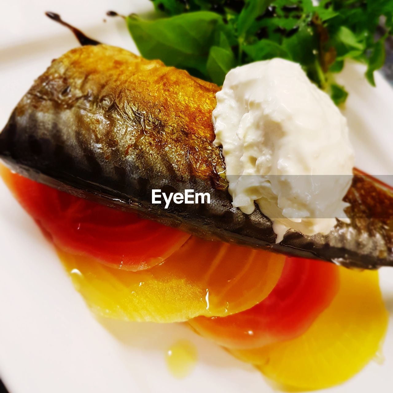 CLOSE-UP OF SUSHI SERVED ON PLATE