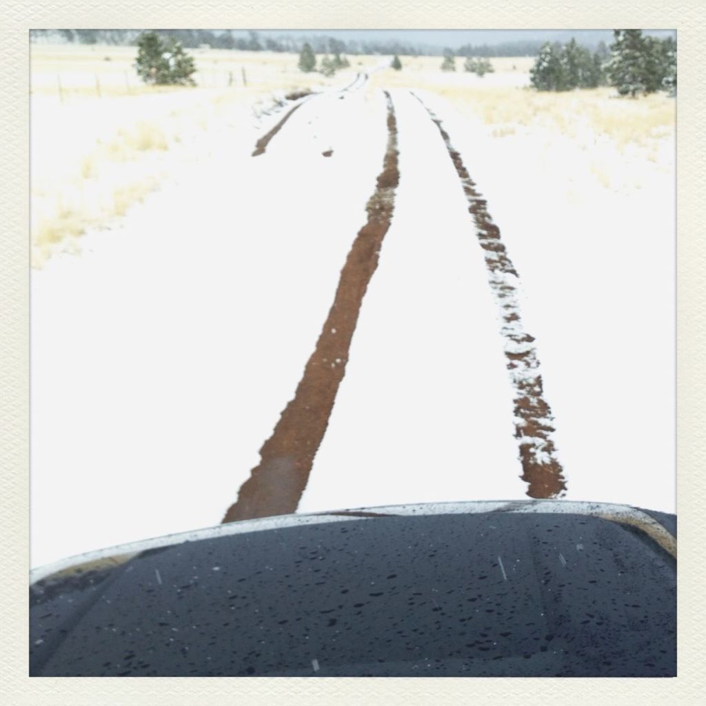 Vehicle tracks in fresh snow