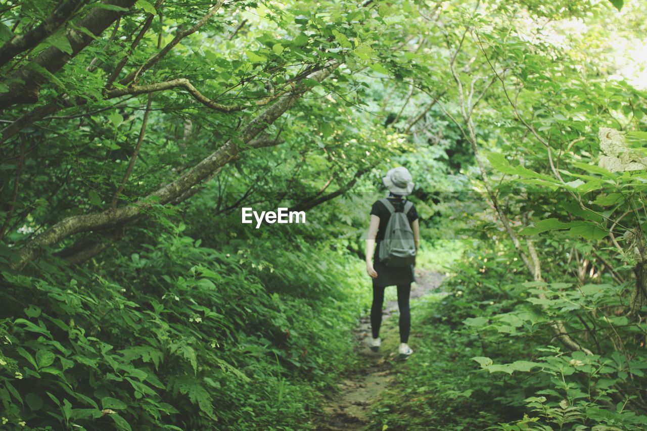 Full length of woman walking in forest