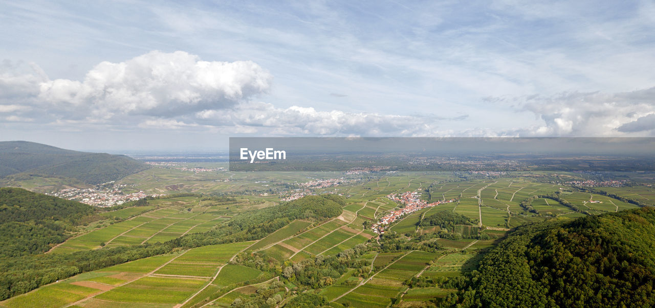 Scenic view of agricultural field against sky