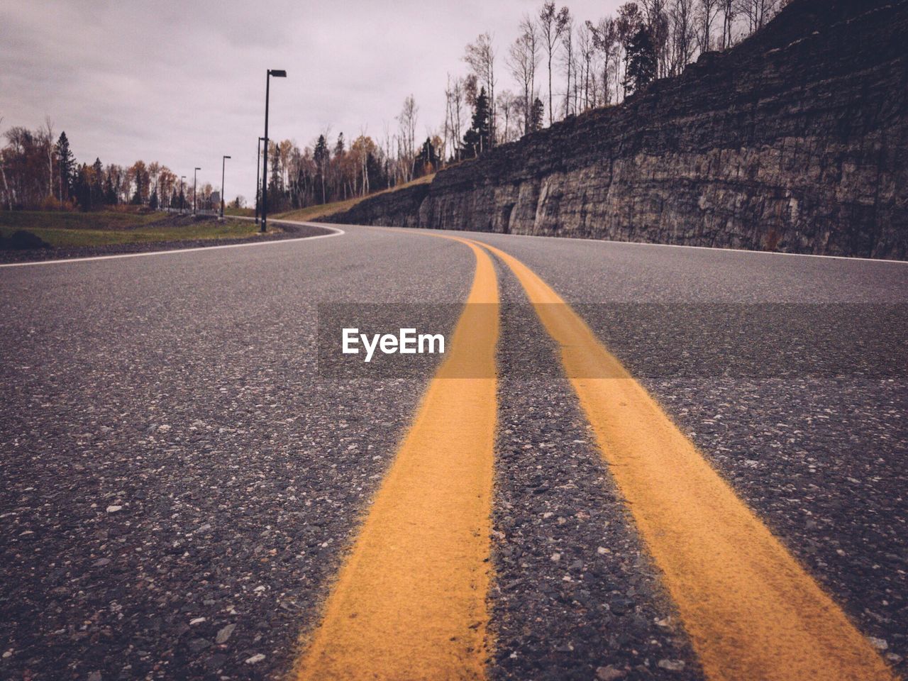 Surface level of empty road along trees