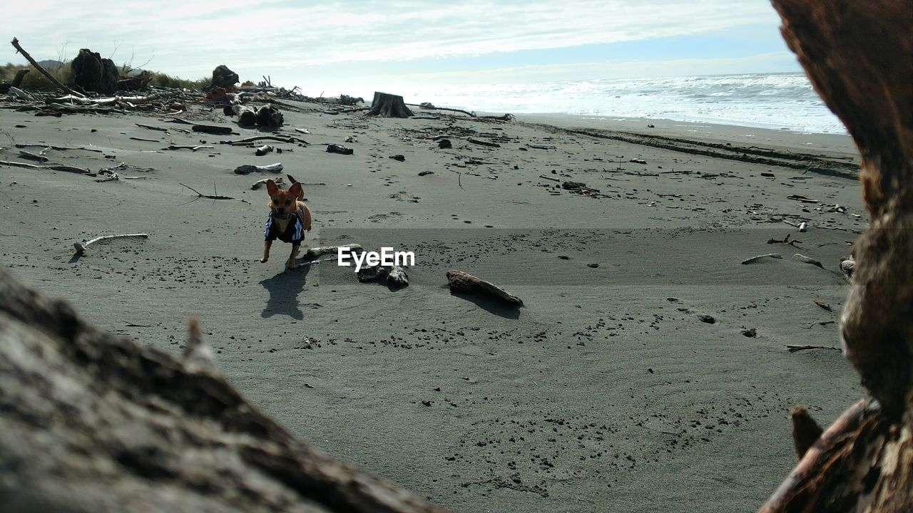 PEOPLE ENJOYING ON BEACH