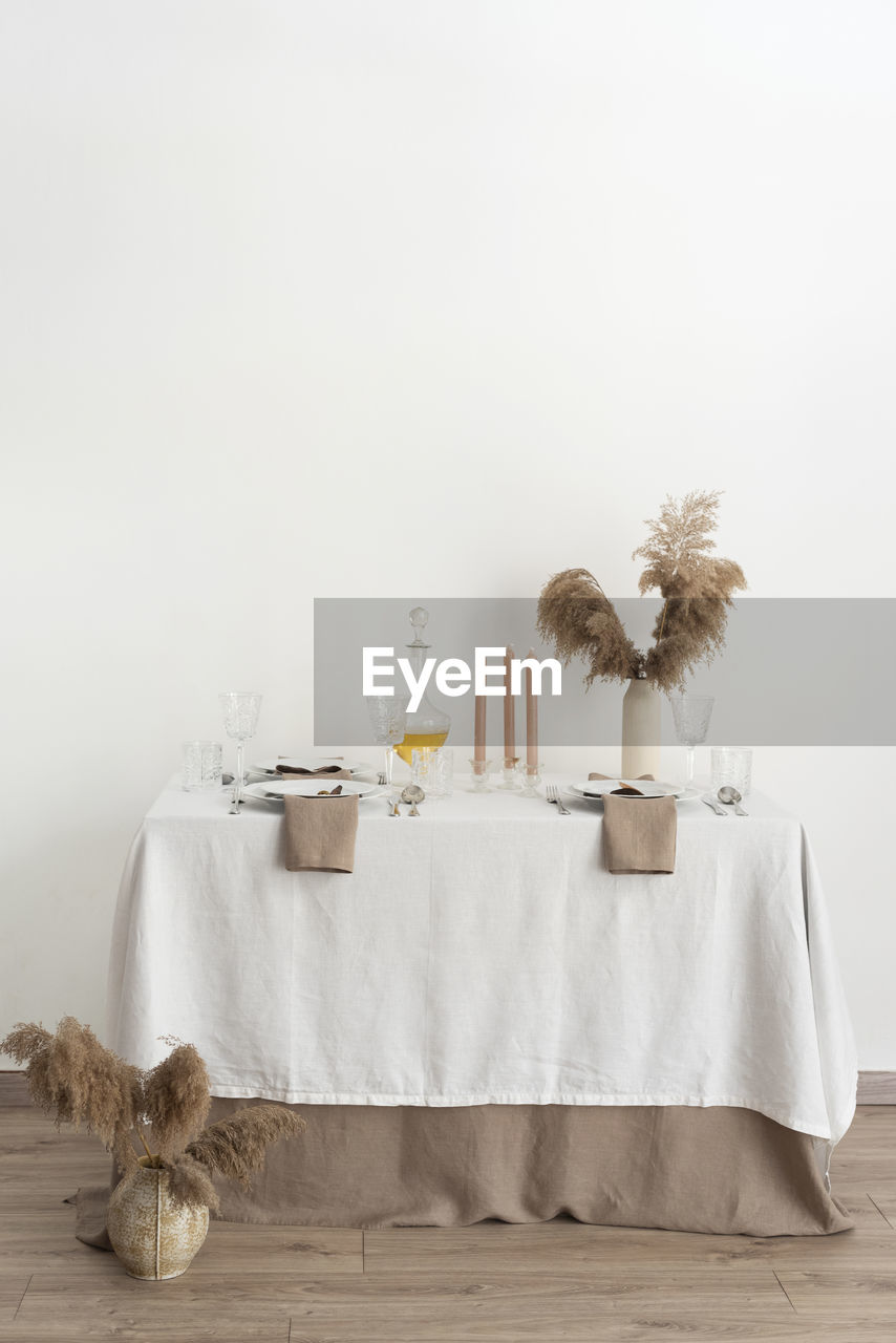 potted plant on table against white background