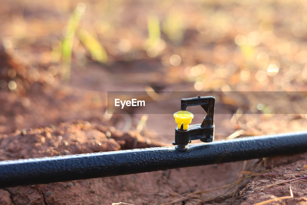 Mini sprinkler heads in the garden reduce drought.