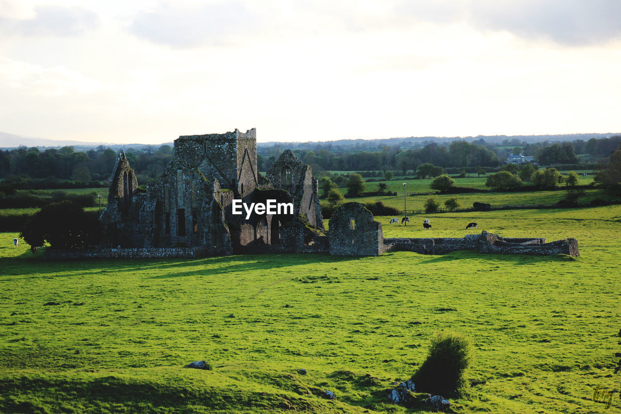 Old ruins on field against cloudy sky