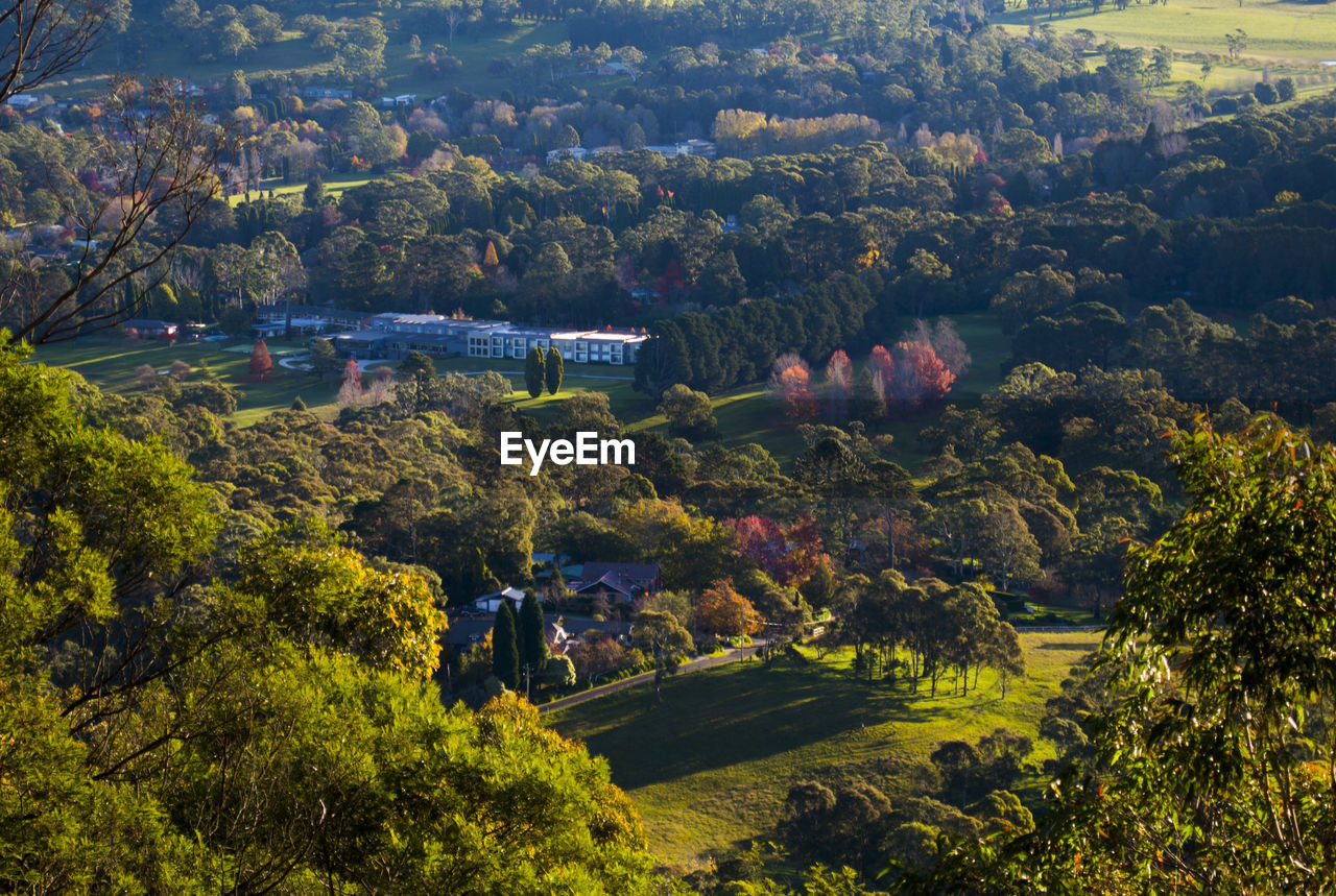 High angle view of trees on field