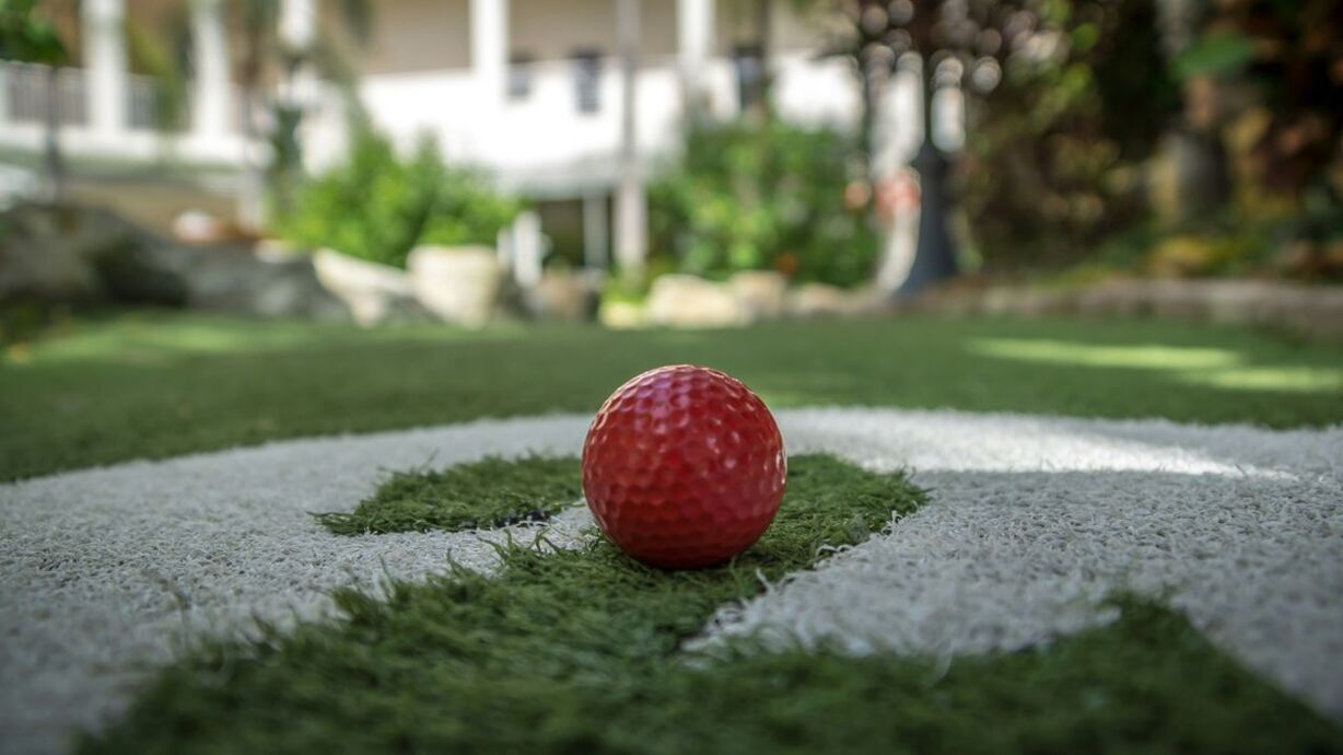 Surface level of red golf ball in lawn