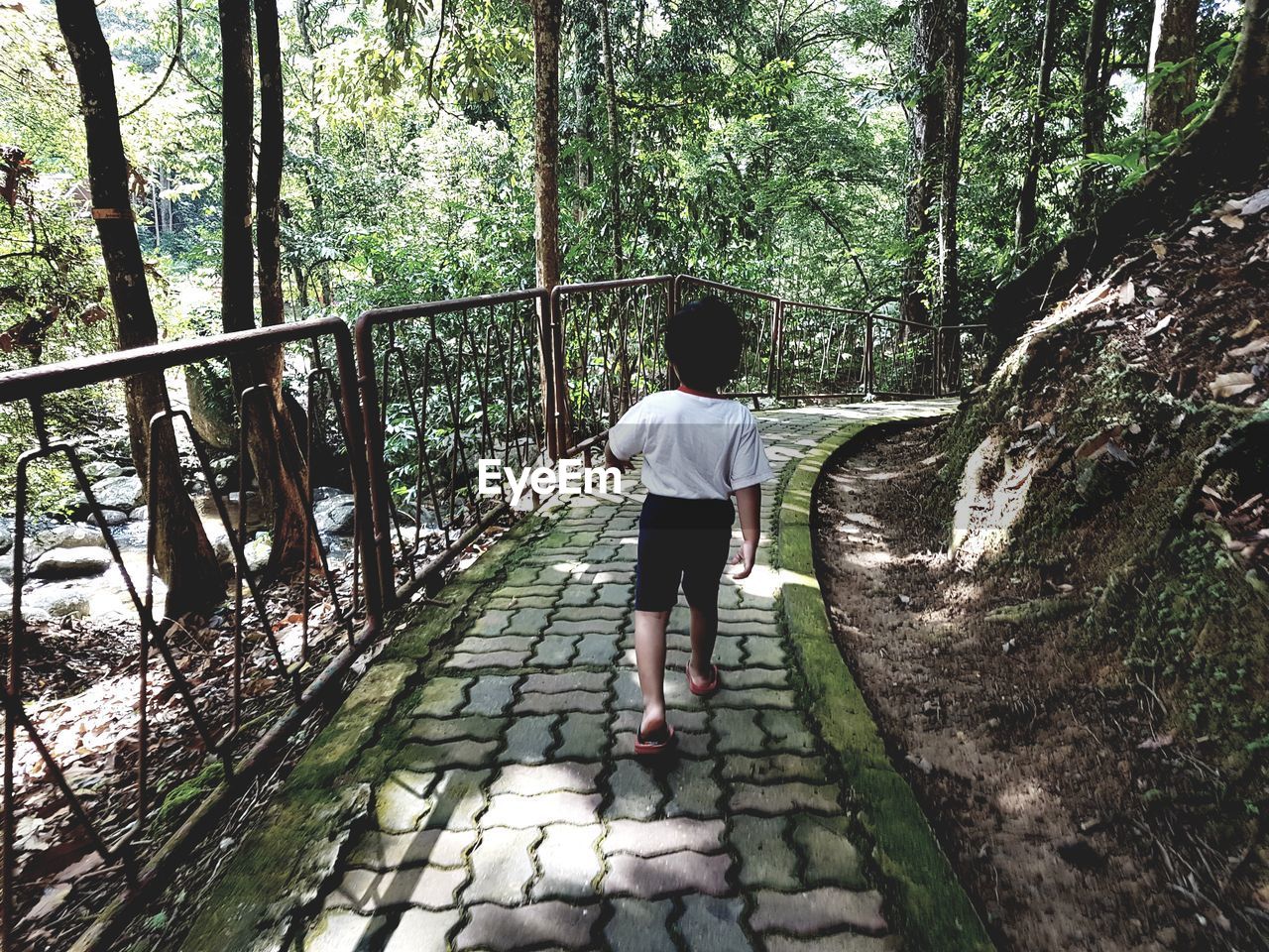 FULL LENGTH REAR VIEW OF MAN WALKING ON WALKWAY IN FOREST