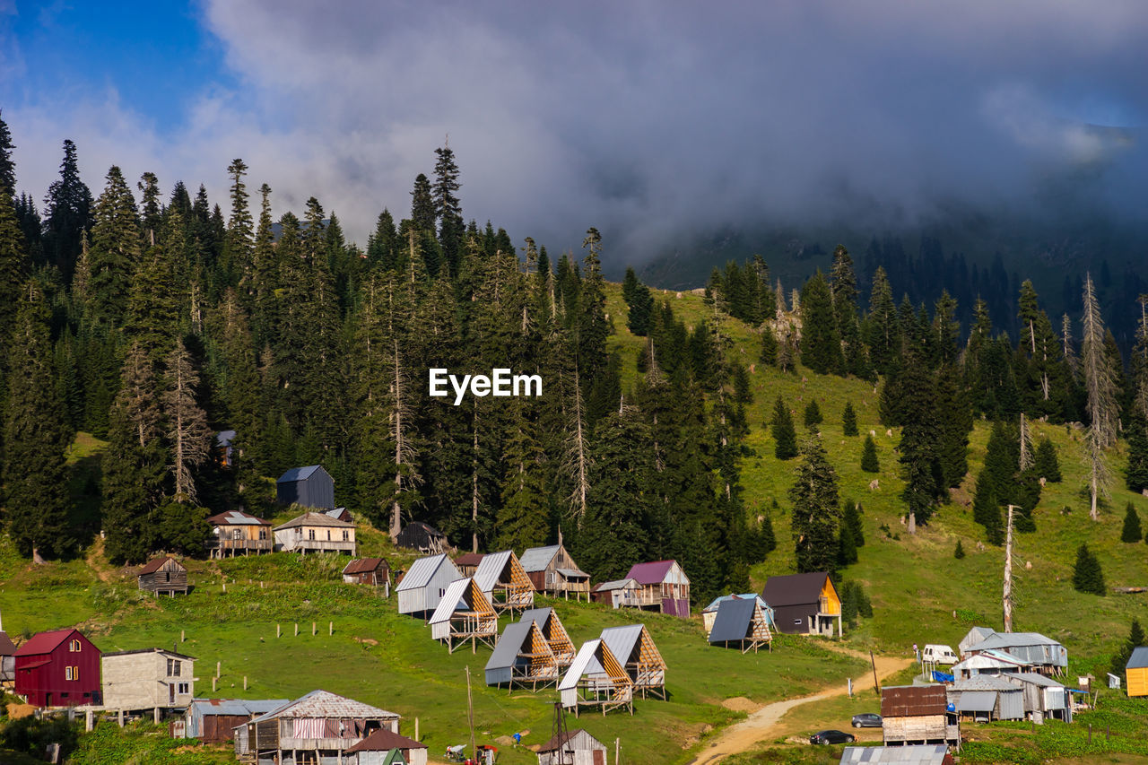 Houses and coniferous trees located on green slope of mountain against blue sky with dark gray clouds and fog on stormy day in highlands of bakhmaro resort in georgian region guria