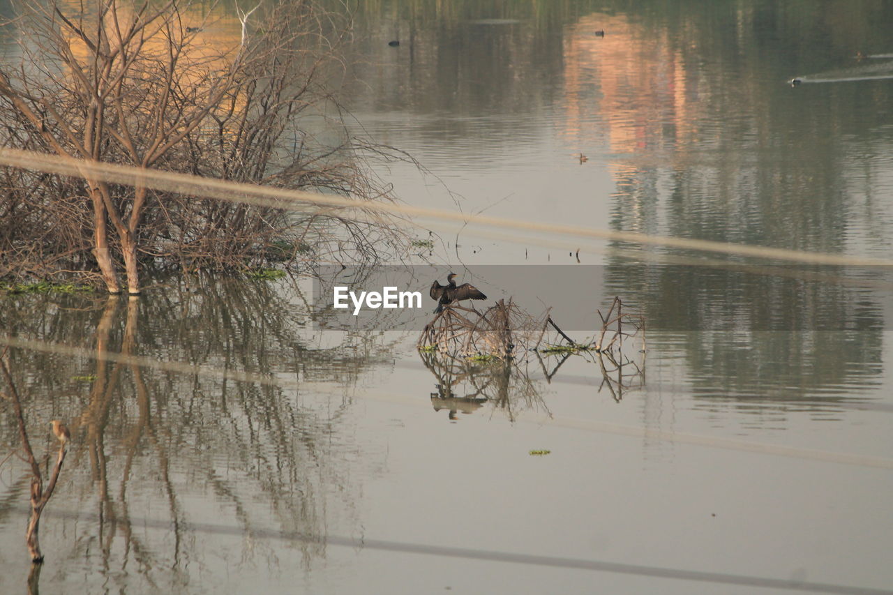 REFLECTION OF MAN IN RIVER