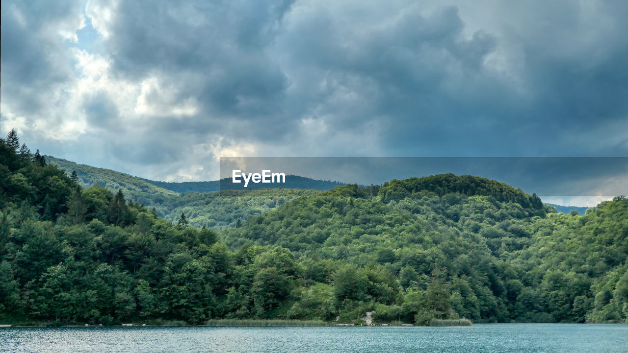 Scenic view of forest at lake kozjak against sky