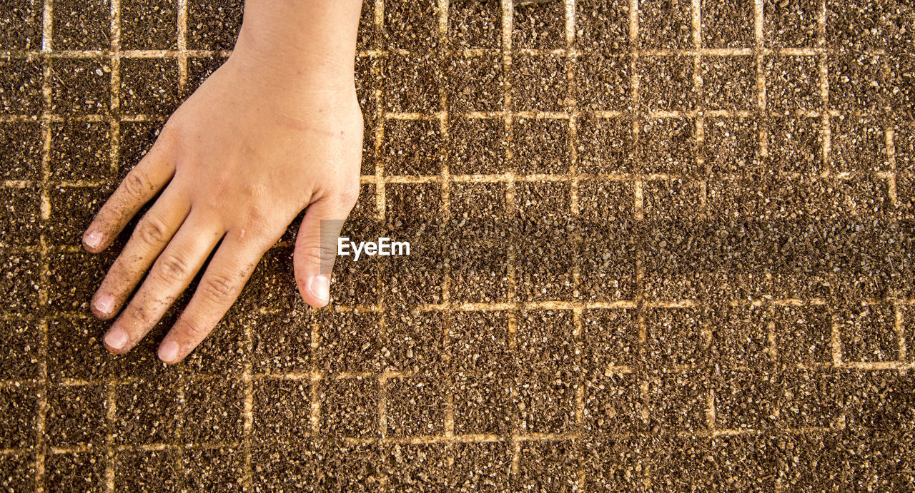 Cropped hand putting soils in seedling tray