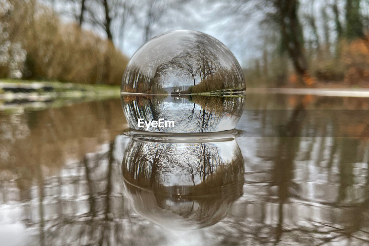 REFLECTION OF TREES ON GLASS