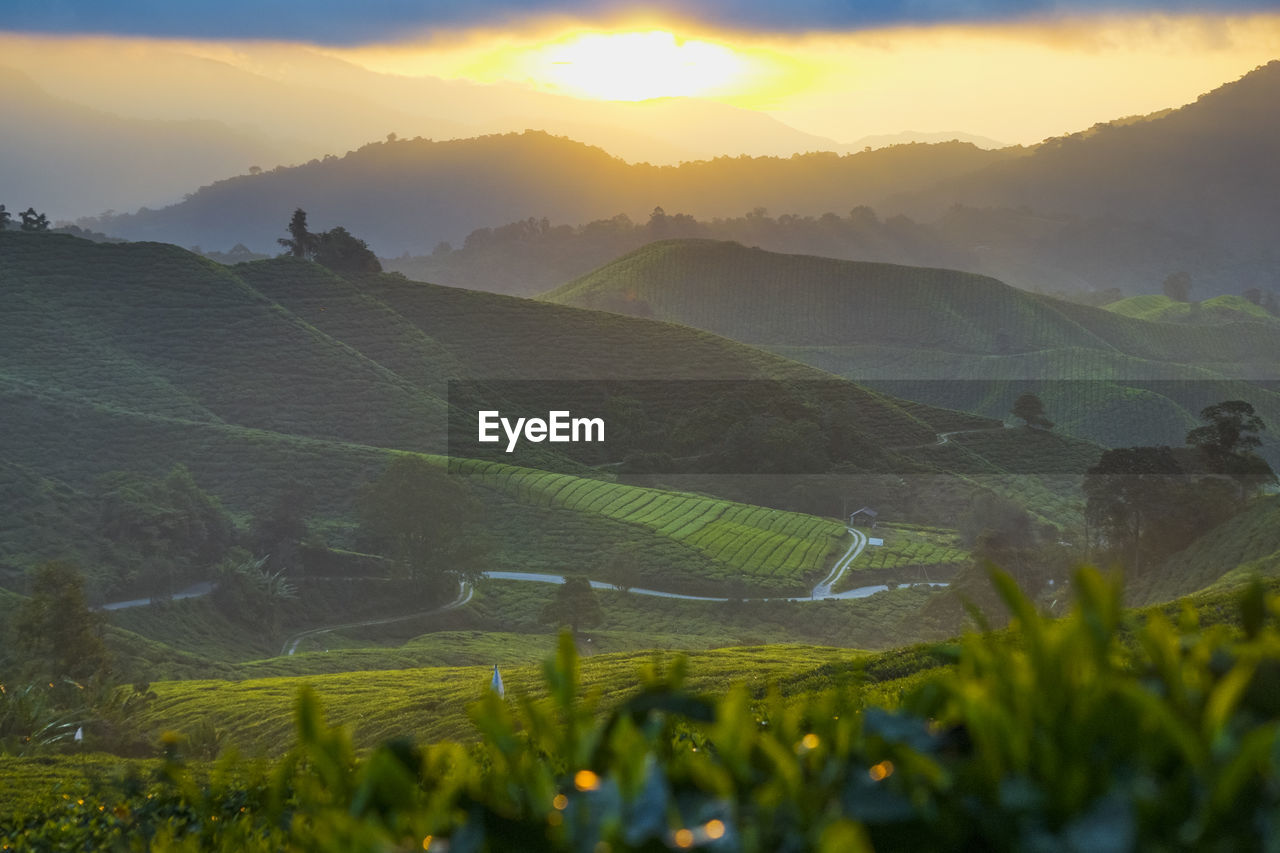 SCENIC VIEW OF FARMS AGAINST SKY DURING SUNSET