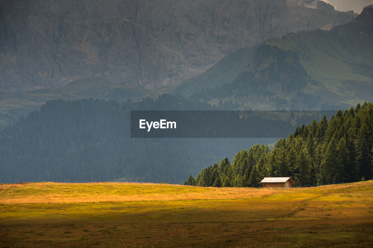 Scenic view of field against mountain