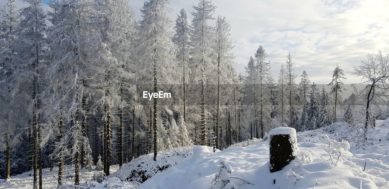 Winter impressions around the harrow tower at the velmerstot near silver river valley