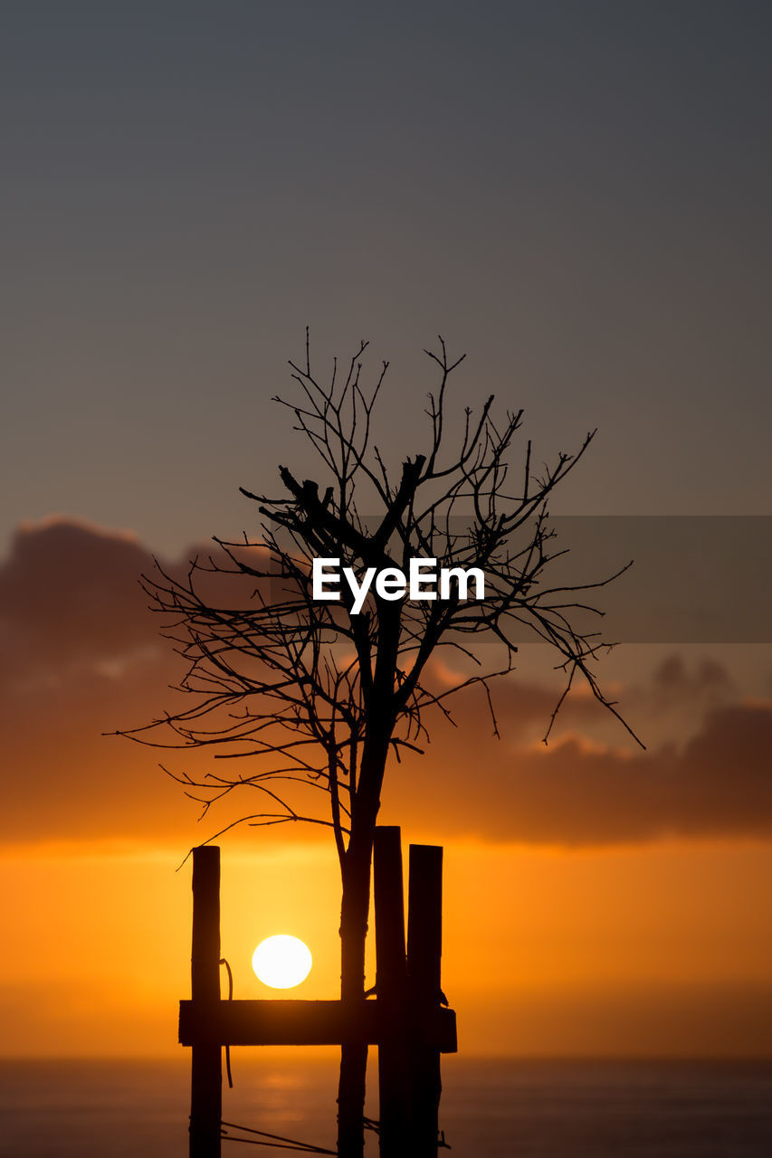 Silhouette tree by sea against sky during sunset