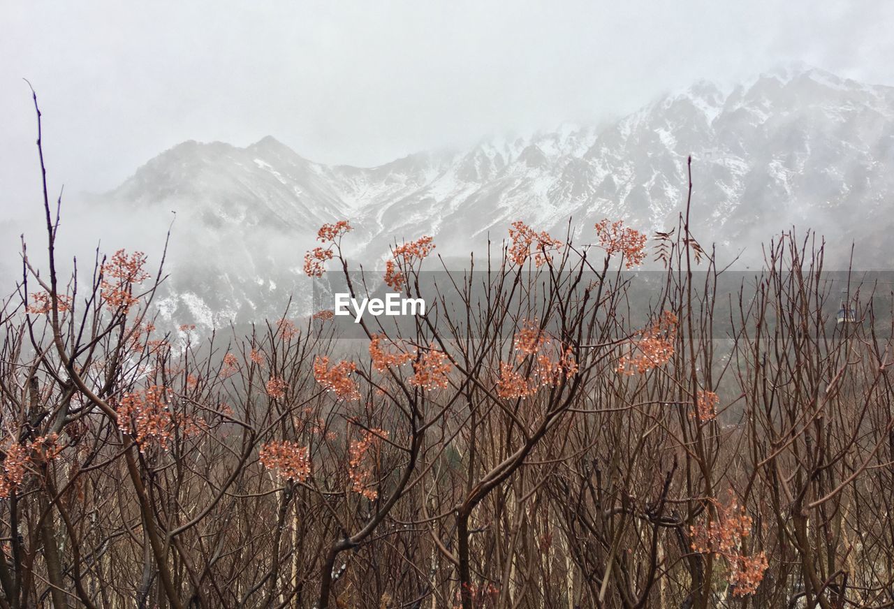 SCENIC VIEW OF SNOWCAPPED MOUNTAIN AGAINST SKY