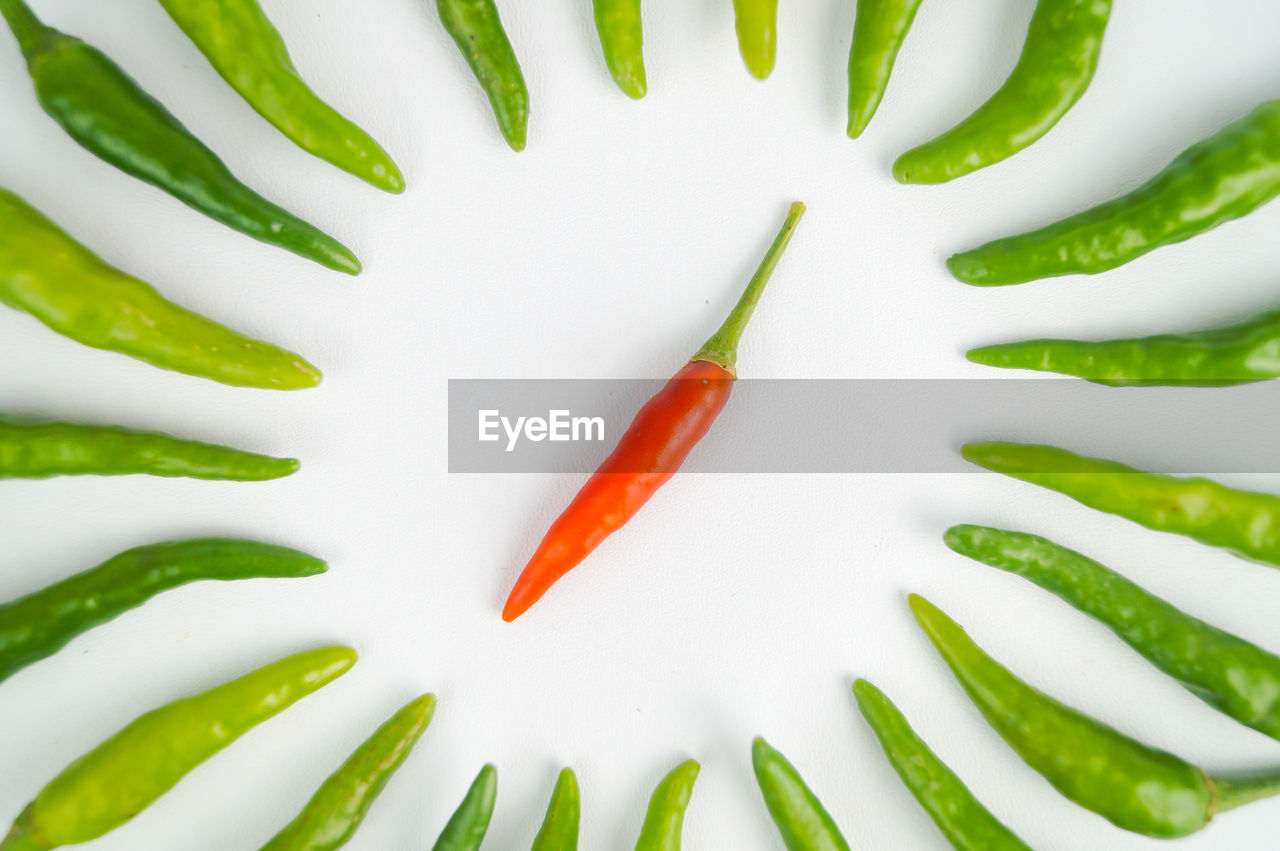 HIGH ANGLE VIEW OF CHILI PEPPERS ON GREEN BACKGROUND